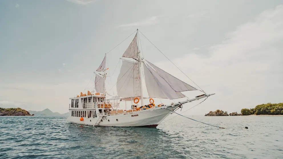 Bali to Komodo Island boat price 2026, Bali to Komodo 3 days 2 nights liveaboard trip, Bali to Komodo 4 days 3 nights sailing tour, Bali to Komodo Island tour package 2026, Bali to Komodo Island boat schedule and departure, Bali to Komodo Island private boat charter, Bali to Komodo Island open trip liveaboard, Bali to Komodo Island snorkeling and island hopping tour, Bali to Komodo Island travel itinerary by boat, Best Bali to Komodo Island cruise experience 2026