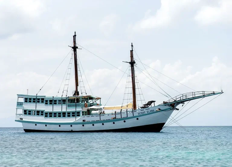 Sehat Elona Luxury Cruise Boat for Sailing Komodo National Park Pink Beach and Padar Island